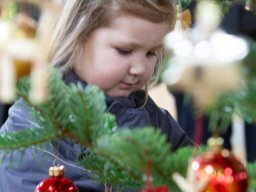 IMG_1299_web